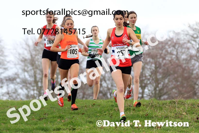 Womens Under-17s and Under-20s 2023 NEHL, Alnwick, Northumberland. Photo: David T. Hewitson/Sports for All Pics